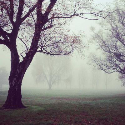 الآراء: وجهة نظر 691