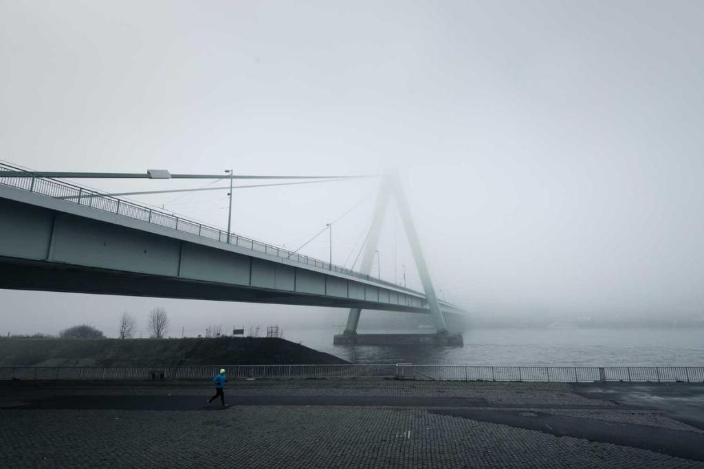 السياسة: اختبار 001