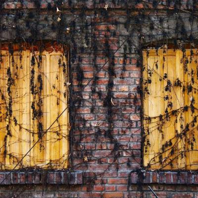 الإبداع - فنون: مقابلة مع فنان 349