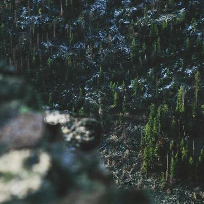 الإبداع - فنون: رؤى جديدة 922