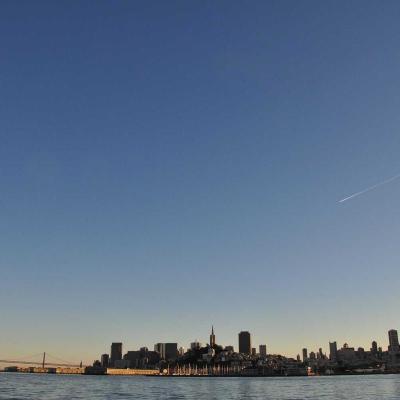 الإبداع - تصميم: مقابلة مع فنان 313