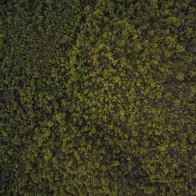 الإبداع - تصميم: ملف خاص 227