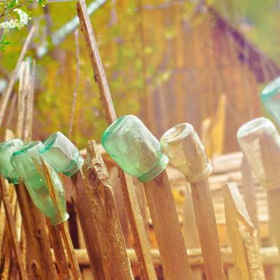 الإبداع - أدب: تجارب فنية 577