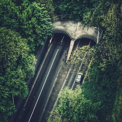 الإبداع - أدب: تجارب فنية 490