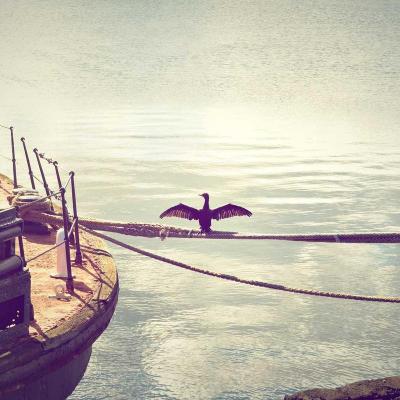 الإبداع - سينما: رحلة إبداع 743