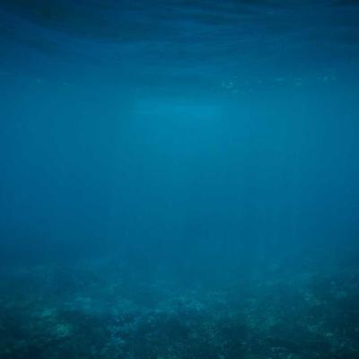 الإبداع - سينما: تجارب فنية 873