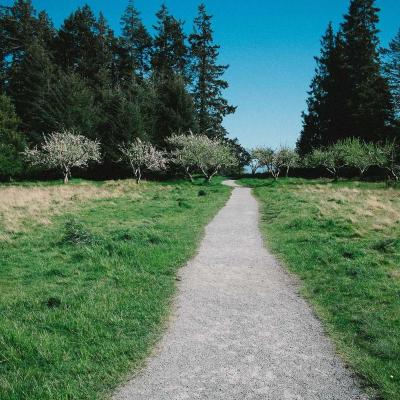 الإبتكار - تكنولوجيا: مبادرات ذكية 647