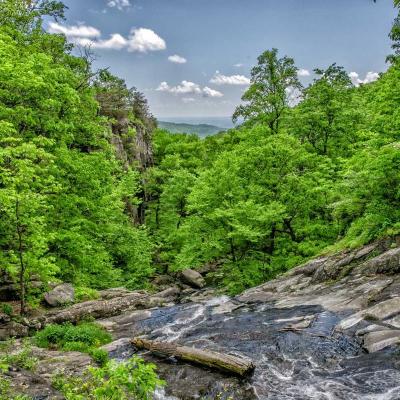 الإبتكار - تكنولوجيا: أفكار ريادية 114