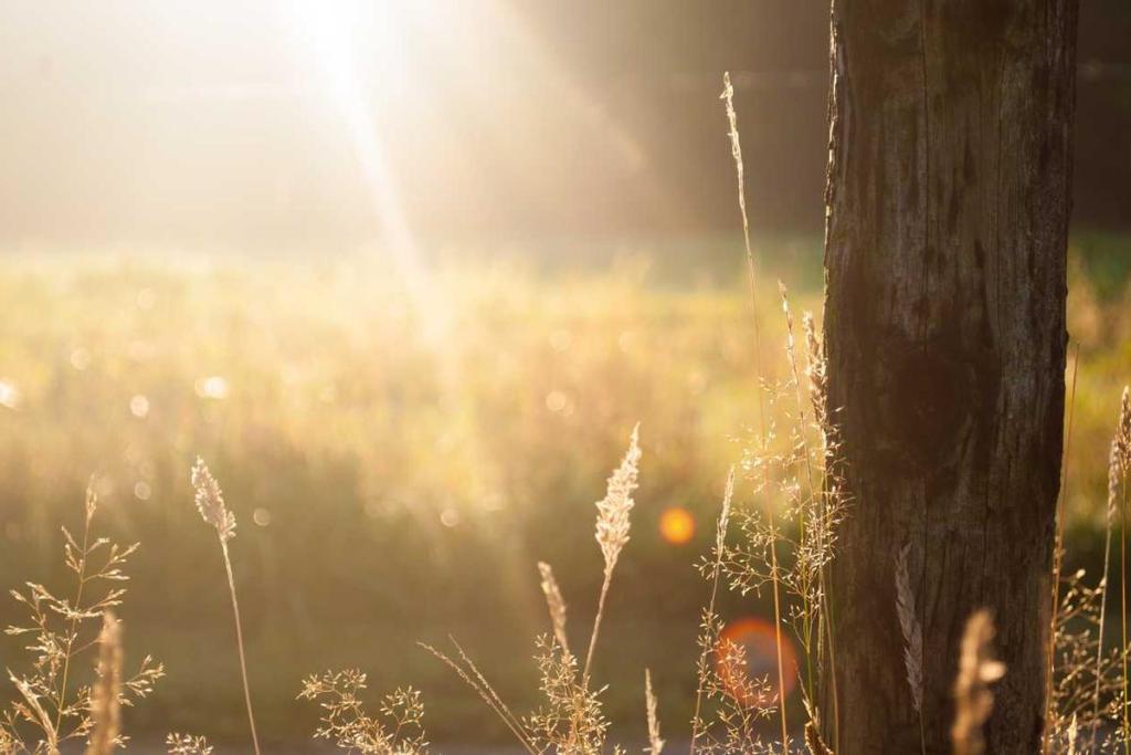 الإبتكار - حلول رقمية: مشاريع ناشئة 893