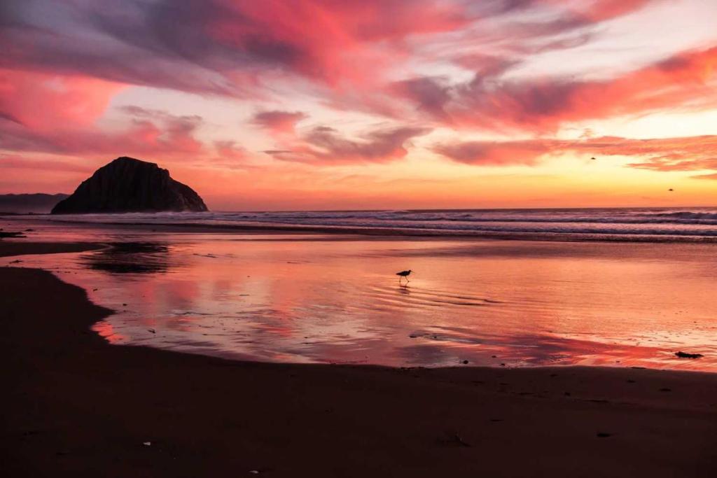 الإبتكار - علوم المستقبل: تحولات رقمية 920