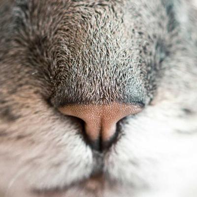 حياة - صحة: قصص واقعية 701