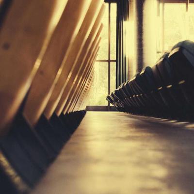 السياسة: تطورات ميدانية 699