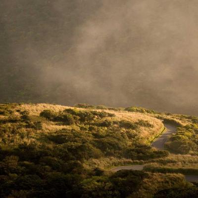 حياة - تغذية: رحلات 618