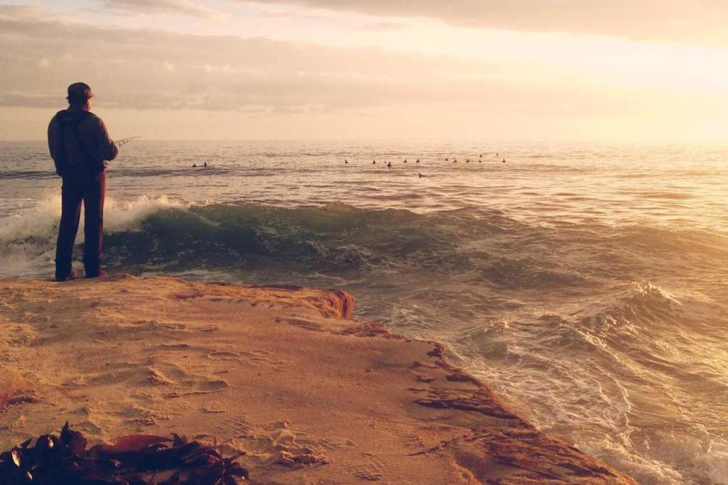 فلسطين: غزة 750