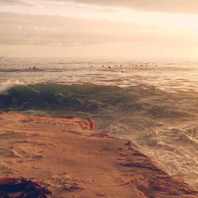 فلسطين: غزة 750