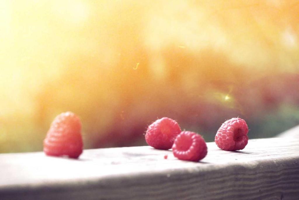 العلوم والمعرفة - فضاء: بحث علمي 523