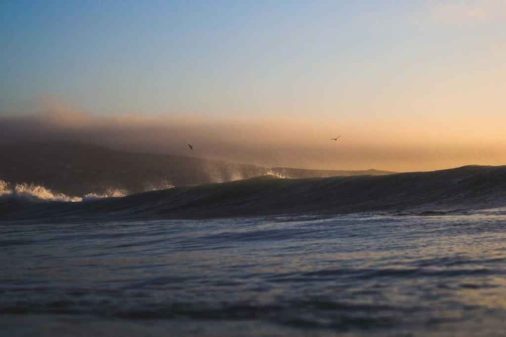 العلوم والمعرفة - بيولوجيا: بحث علمي 702