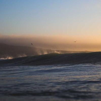 العلوم والمعرفة - بيولوجيا: بحث علمي 702