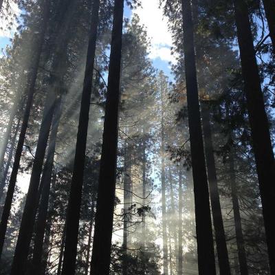 العلوم والمعرفة - تربية وتعليم: اكتشاف جديد 194