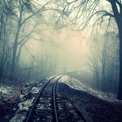 إسرائيل: القضاء 285