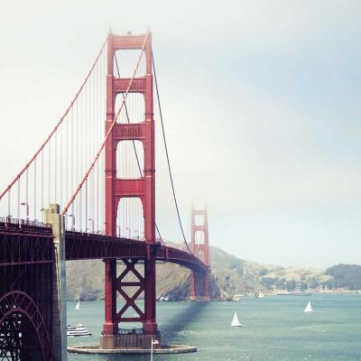 العالم: اللاجئين 461