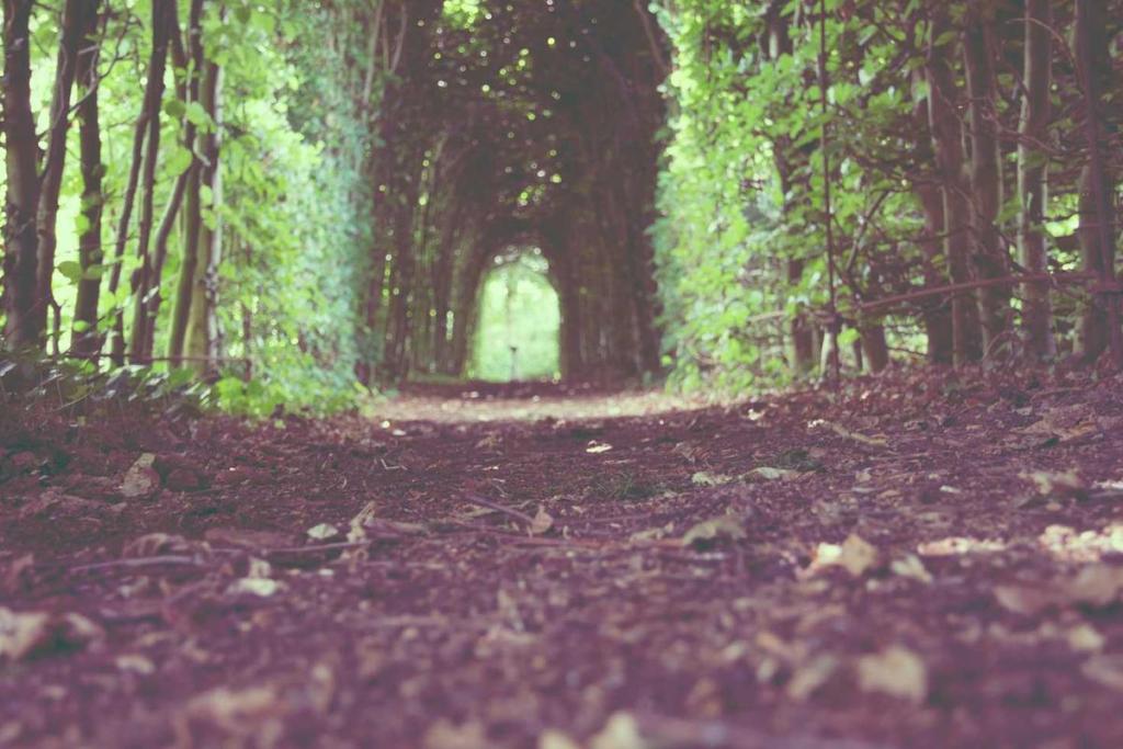 الاقتصاد: التجارة 168