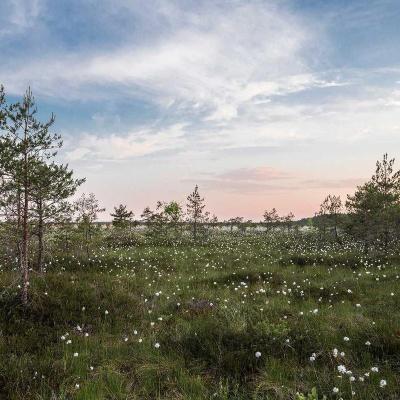 الاقتصاد: الاستثمارات 953