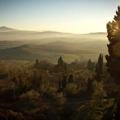 مال وأسواق: السندات 828