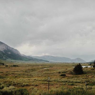 مال وأسواق: النفط 739