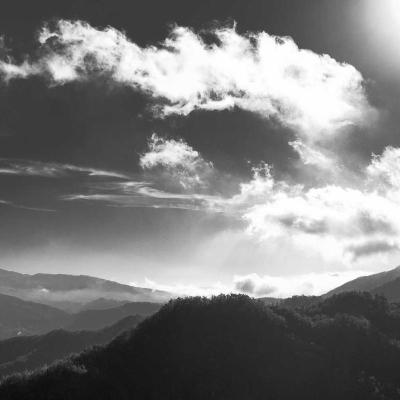 أحوال الناس: ريادة الأعمال 580