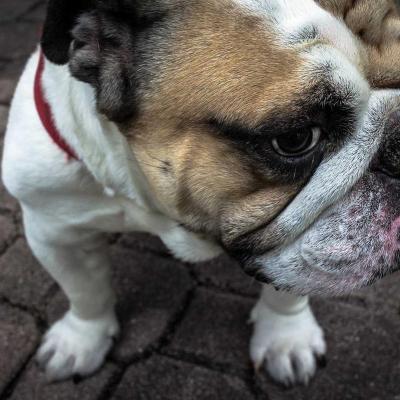 فيديو وإنفوغرافيك: خط زمني 940