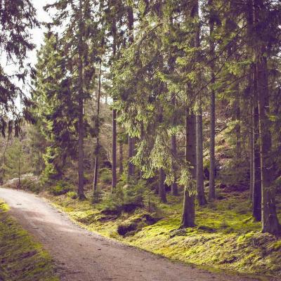 يوميات: حكايات من الميدان 961