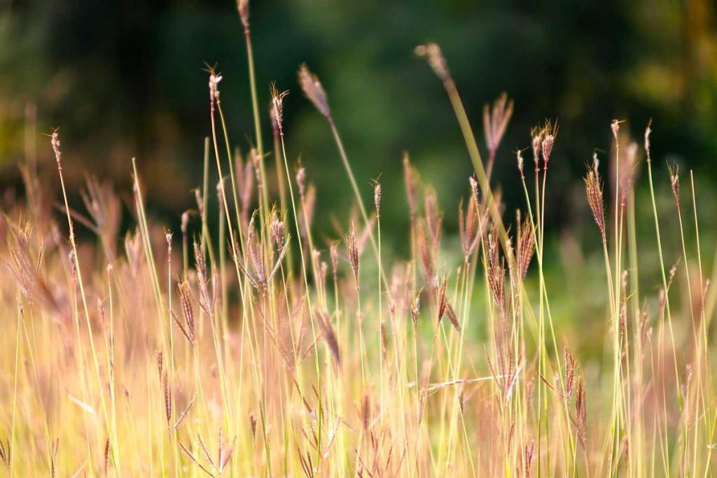 القصة من أولها: خلفية الحدث 783