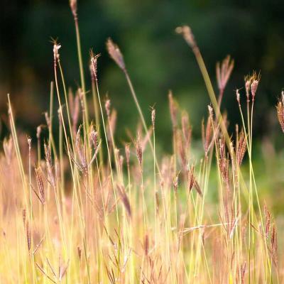 القصة من أولها: خلفية الحدث 783