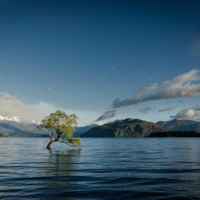 أميركا: الانتخابات 513